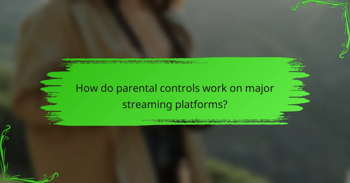 How do parental controls work on major streaming platforms?