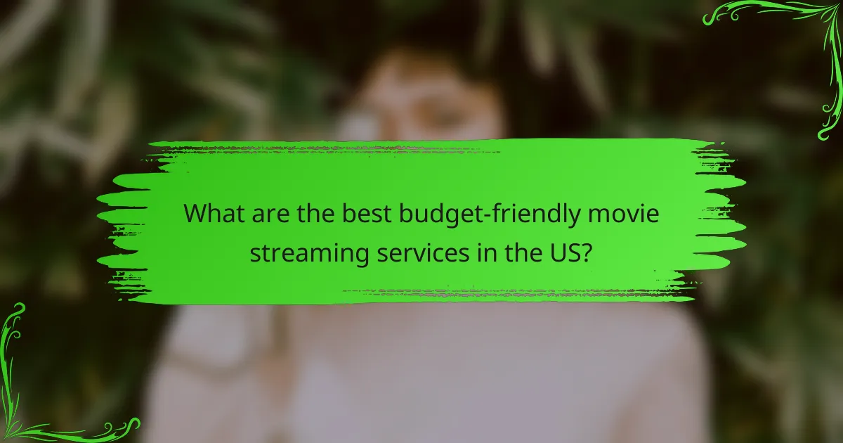 What are the best budget-friendly movie streaming services in the US?